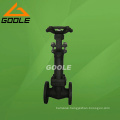 Compact Steel Bellow Sealed Flange Gate Valve (GAWZ41H)